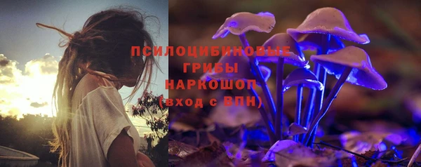 бошки Нея