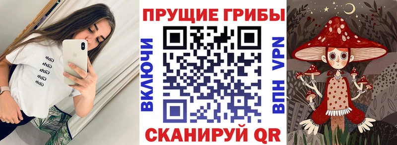 где можно купить   Электроугли  Галлюциногенные грибы Psilocybe 